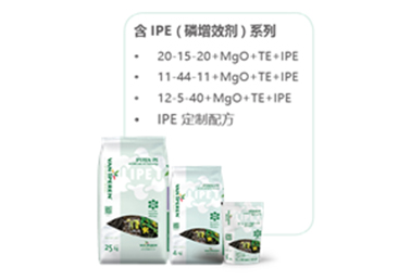 易普润