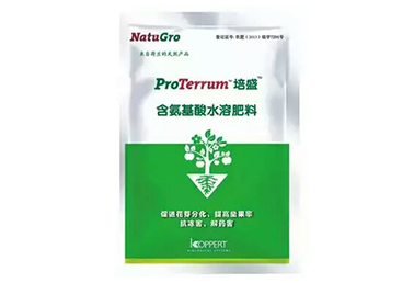 培盛