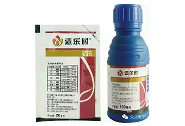 适乐时