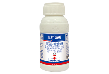 劲勇