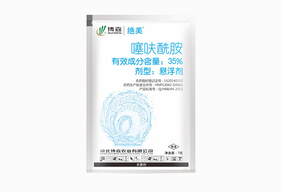 绝美