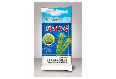 新植9号 高产麦种