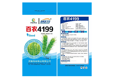 百农4199 小麦种子