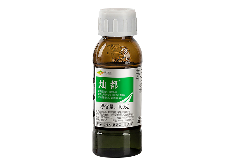 灿都