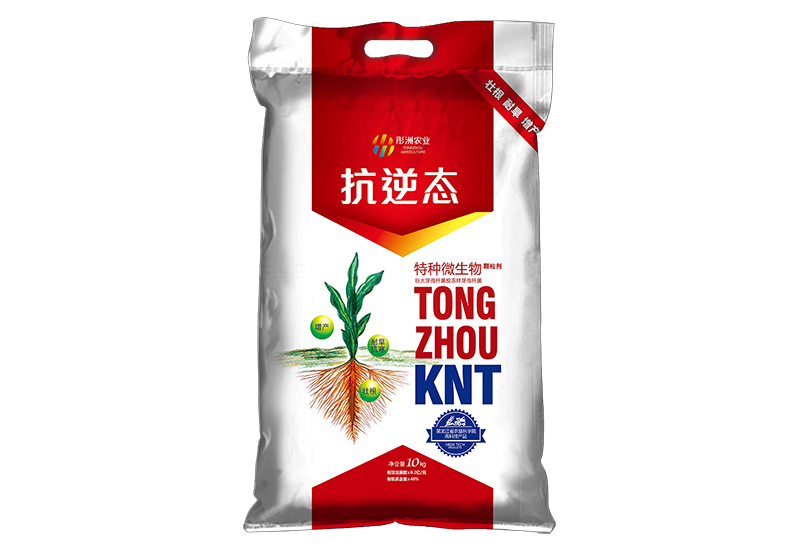 抗逆态