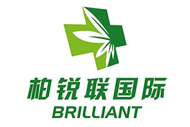柏锐联国际