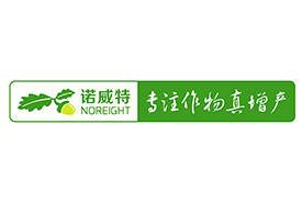 诺威特