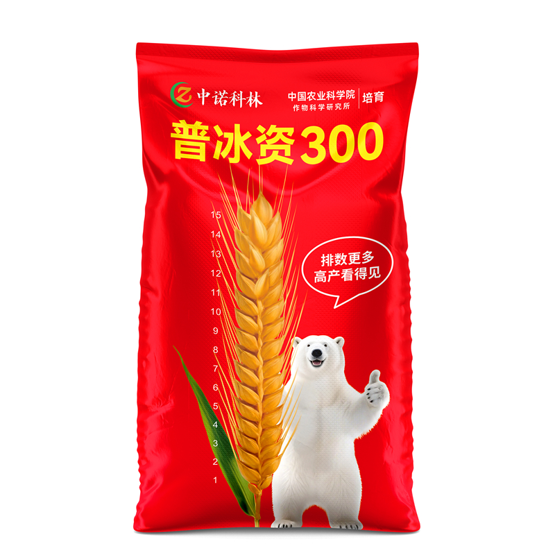 普冰资300袋装图2_800+800.jpg