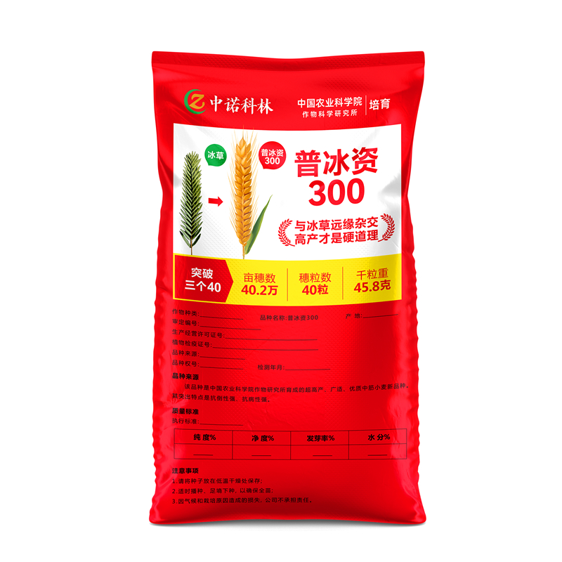 普冰资300袋装图-800+800.jpg